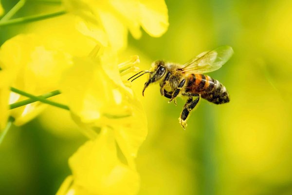 L'Importance de la Santé Mentale dans les Actualités Récentes